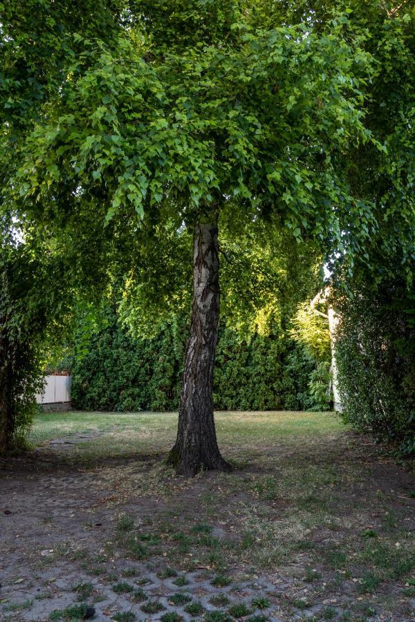 Pavai Apartman Hajdúszoboszló Buitenkant foto